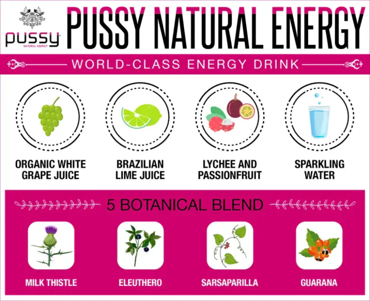 PUSSY NATURLIG ENERGIDRIKK (6 pack)